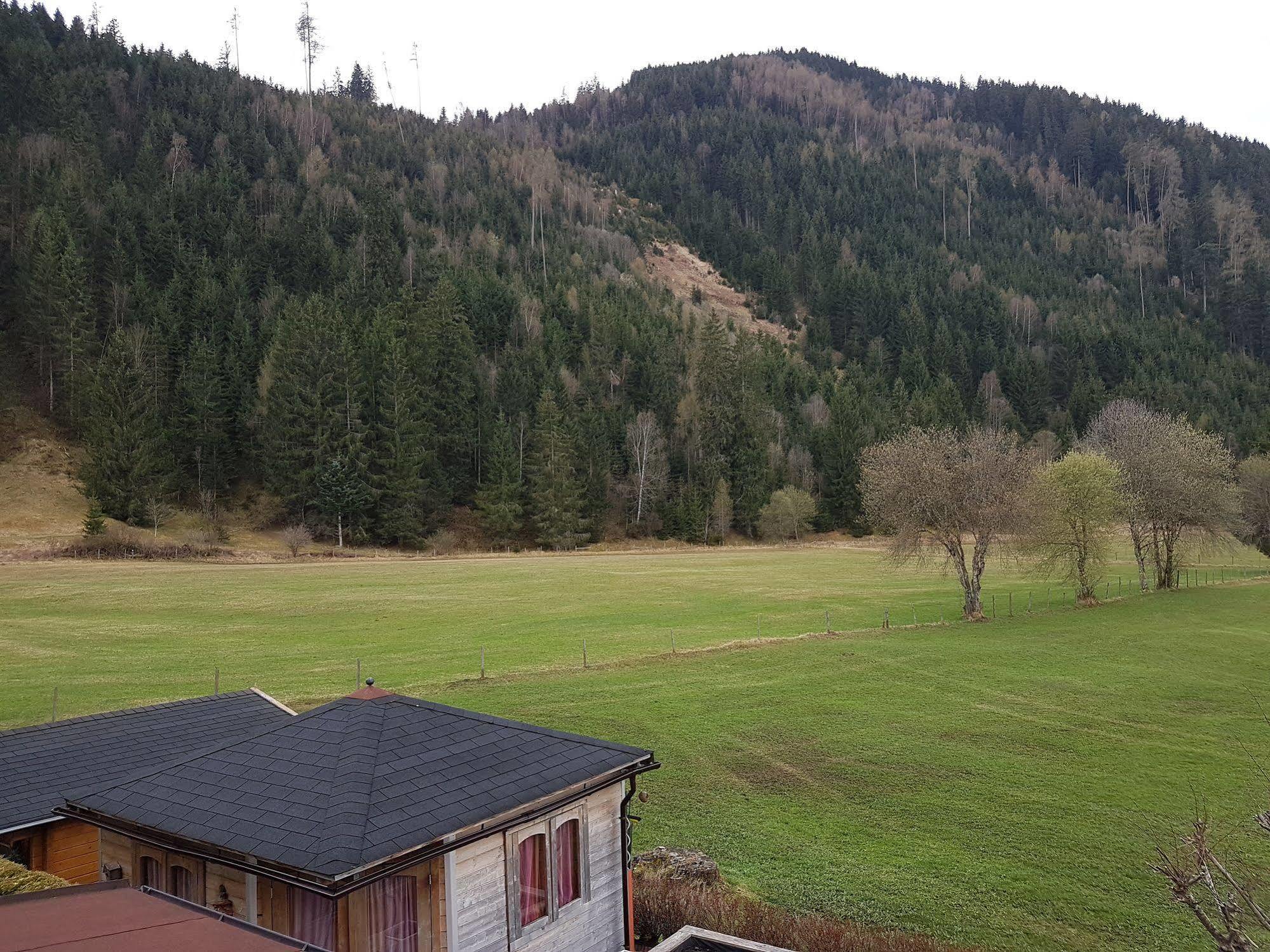 Das Taubenhaus Hollersbach im Pinzgau Exterior foto